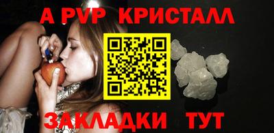 индика Бердск