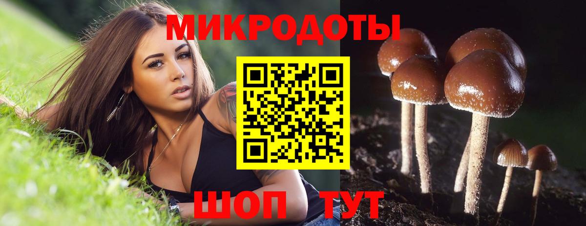 Псилоцибиновые грибы мухоморы Соликамск